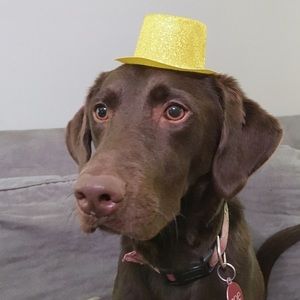 Meet your Posher, Leah